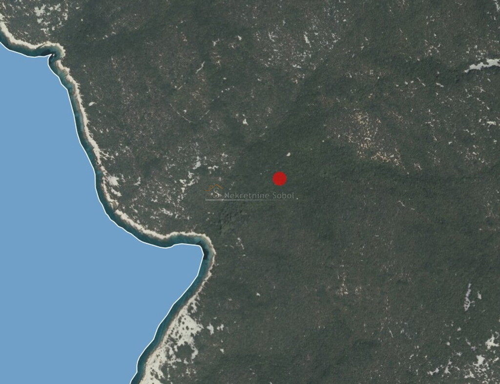Image 6245042 - 1