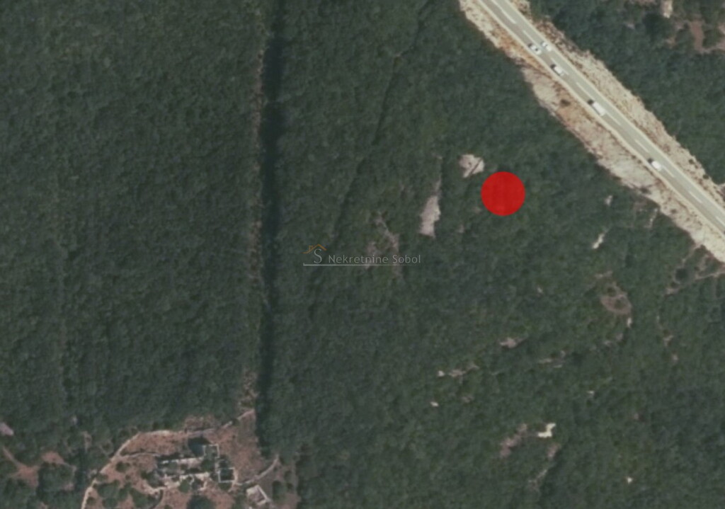 Image 6245043 - 2