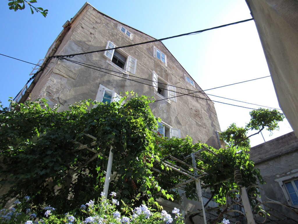 Image 6245044 - 1