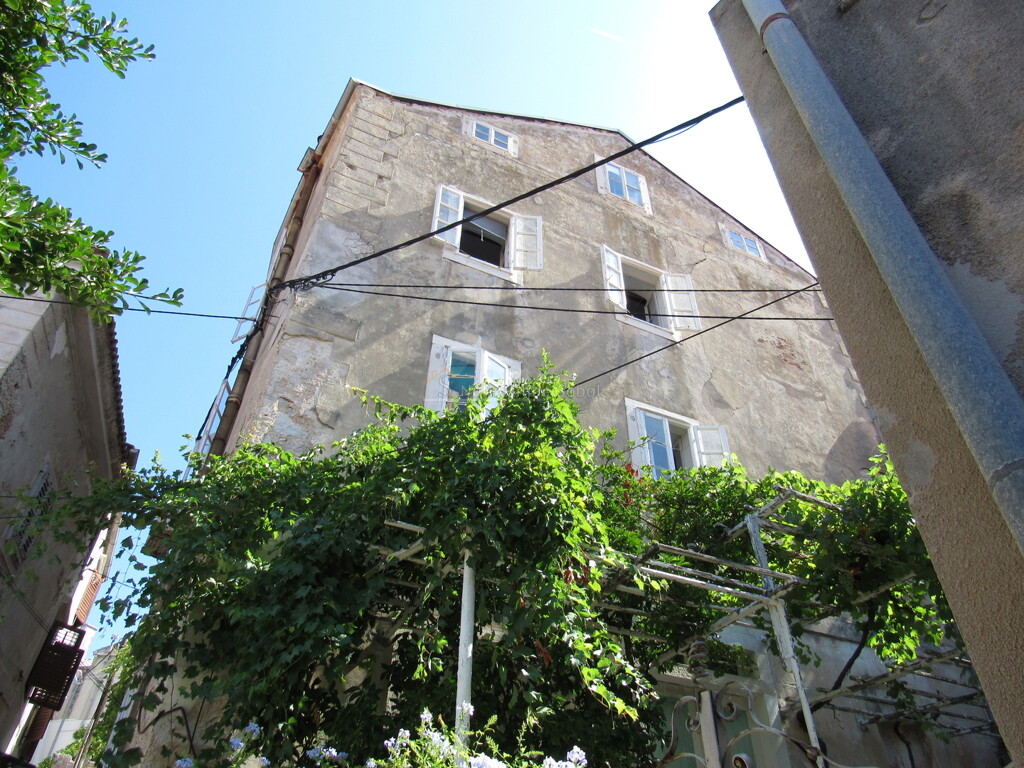 Image 6245044 - 2