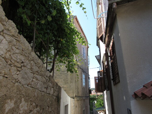 Thumbnail 6245044 - 6