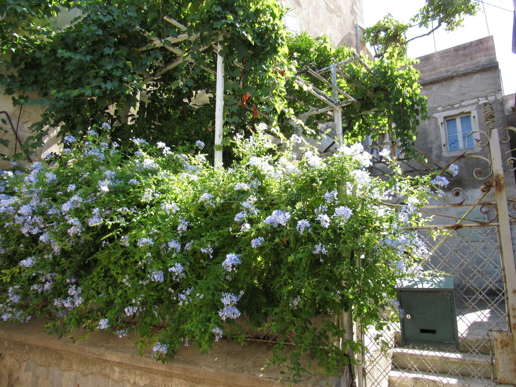 Image 6245044 - 7