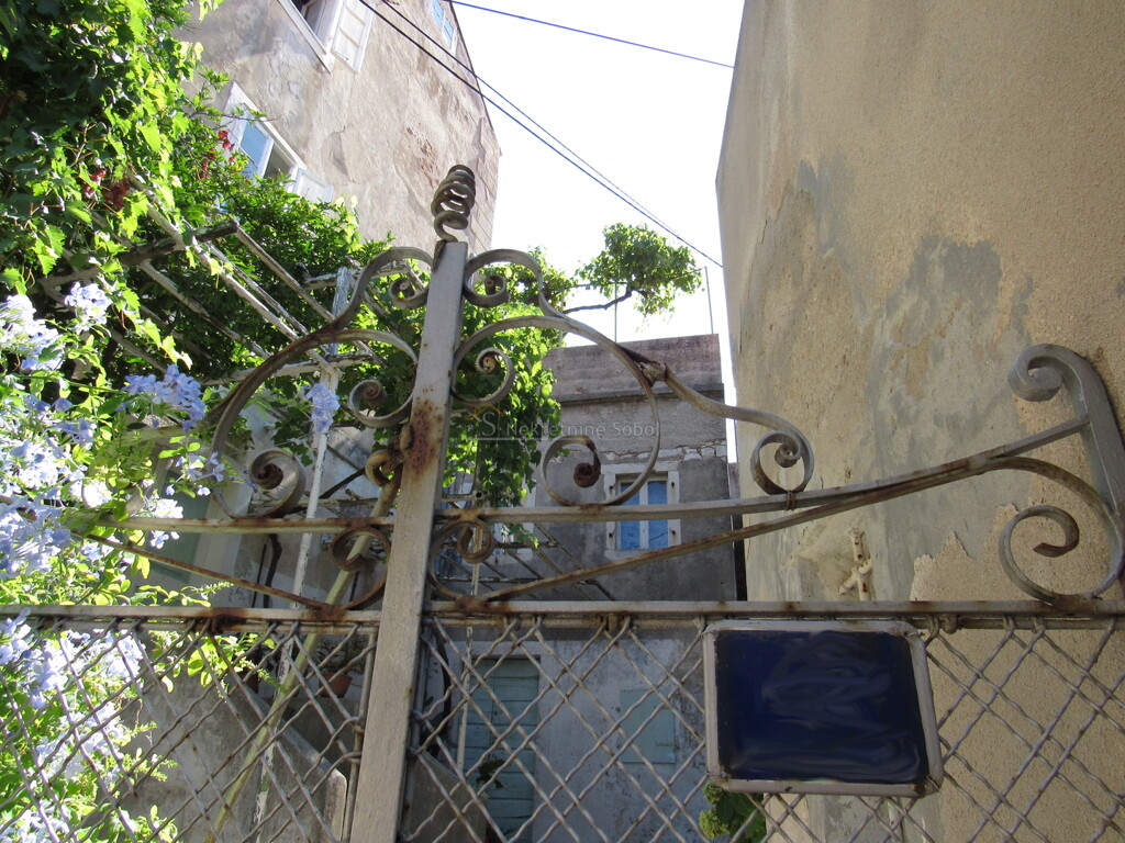 Image 6245044 - 8