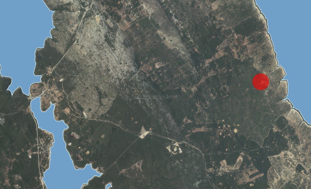 Image 6245049 - 1