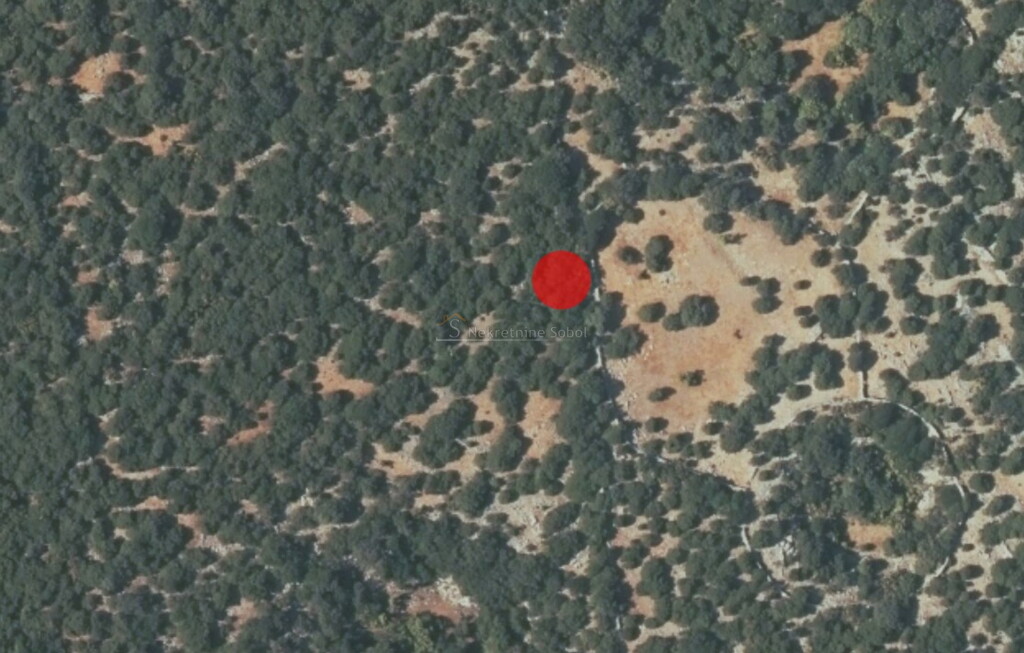 Image 6245049 - 2