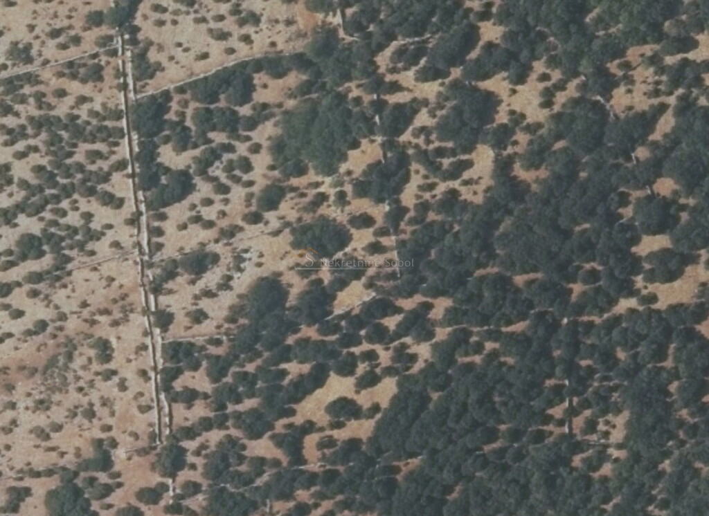 Image 6245050 - 1