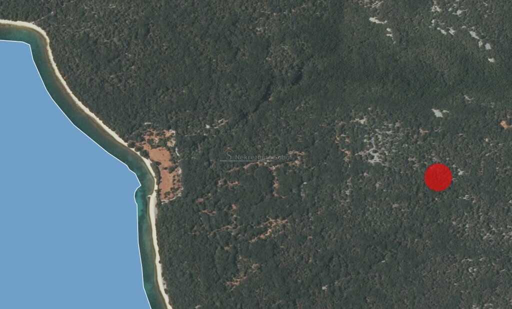 Image 6245051 - 2