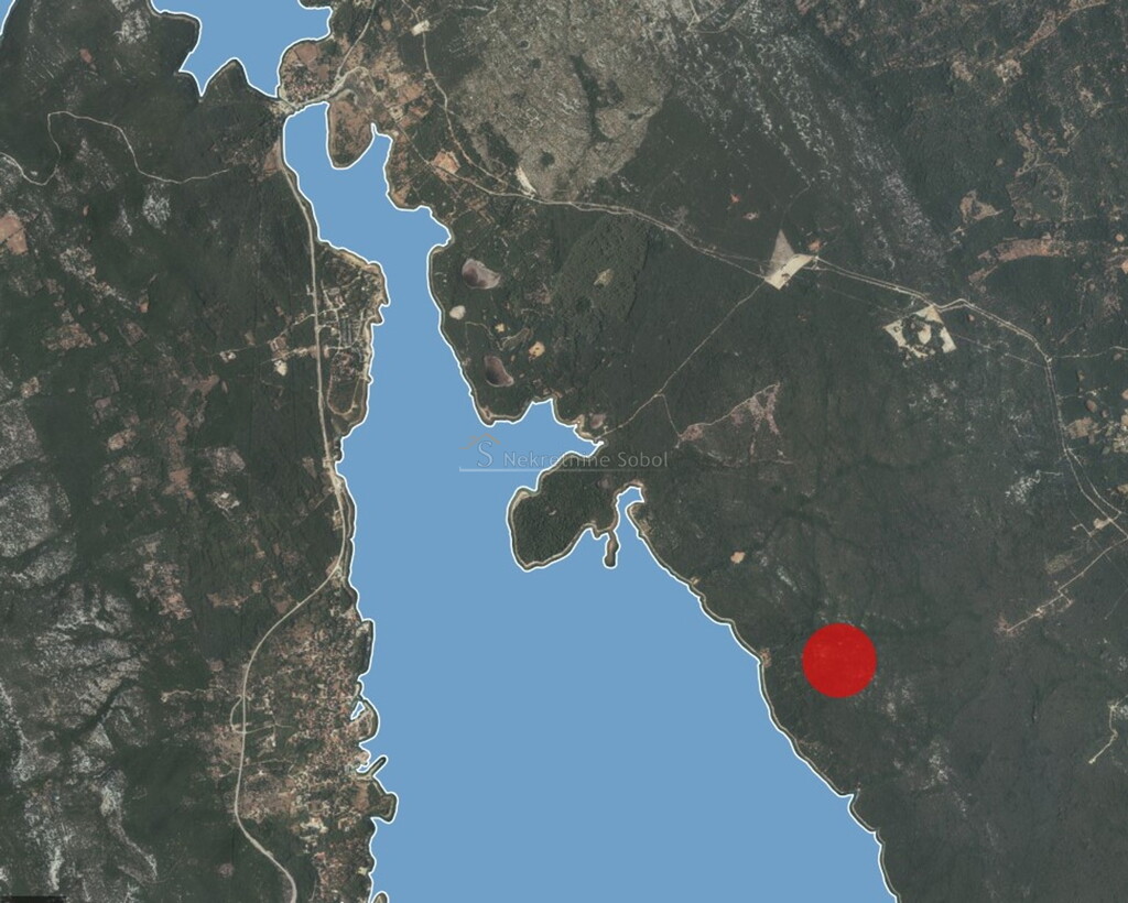 Image 6245051 - 1