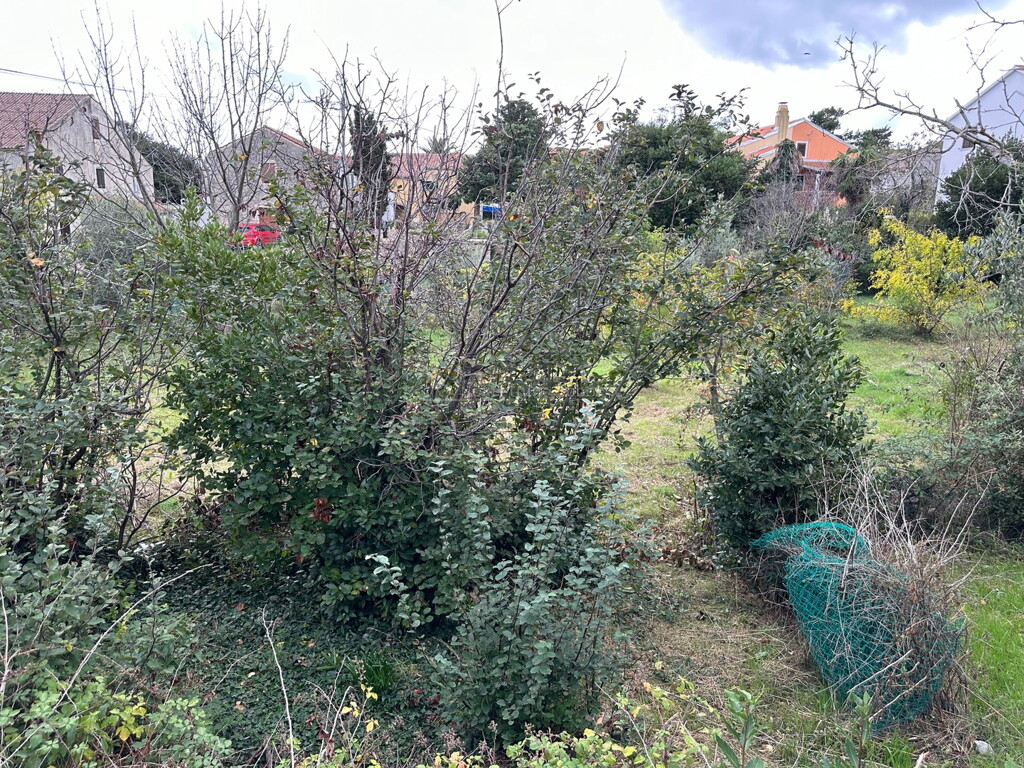 Image 6245052 - 7