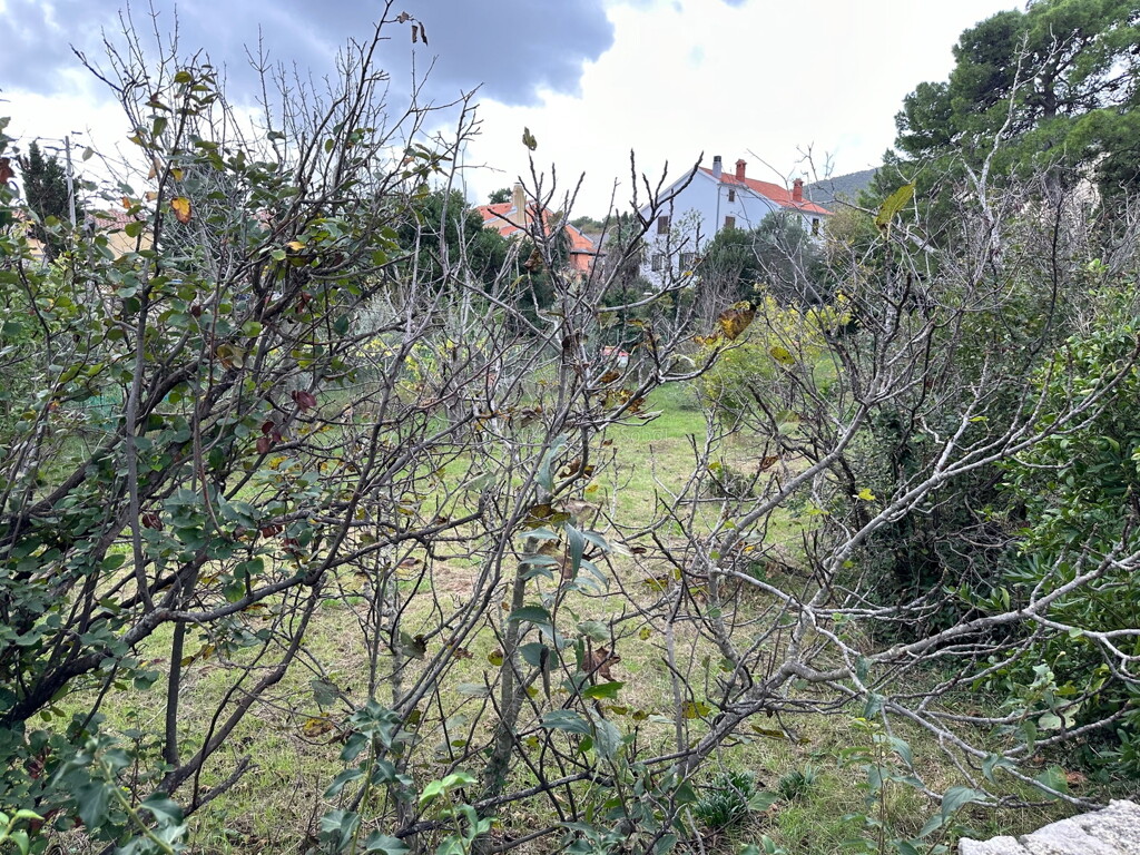Image 6245052 - 5