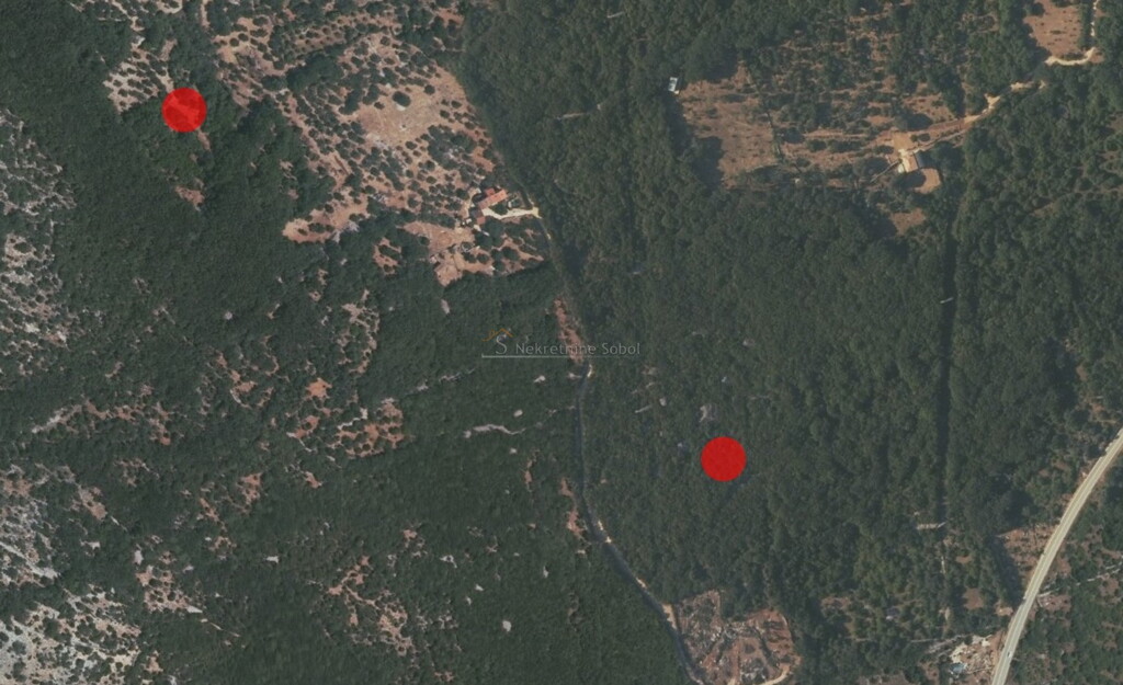 Image 6245057 - 2