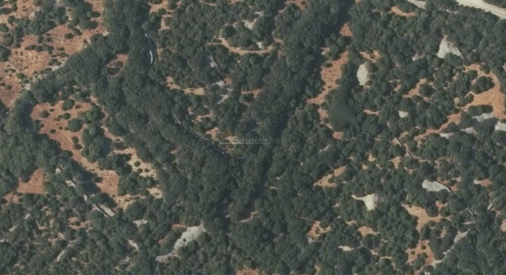 Image 6245061 - 1