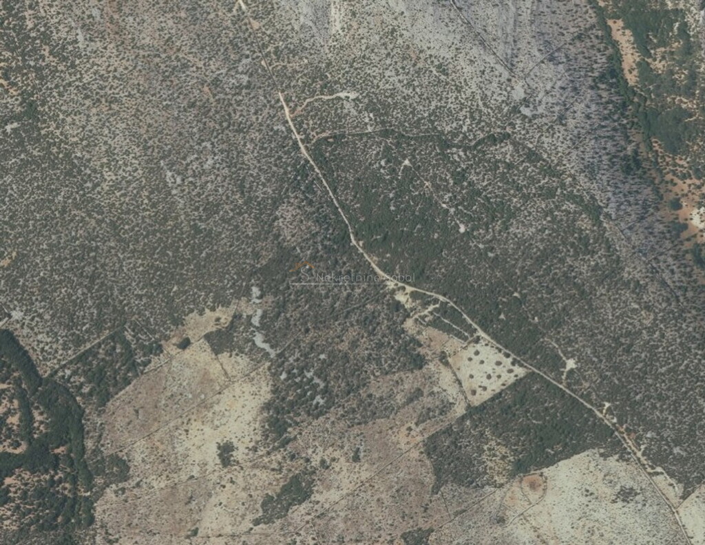 Image 6245063 - 2
