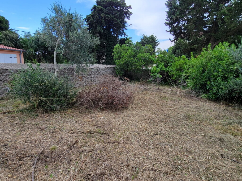 Image 6245067 - 6