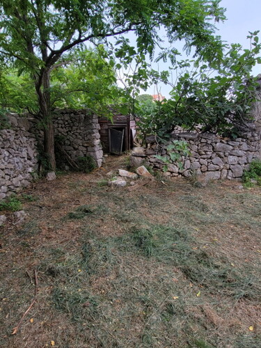 Thumbnail 6245067 - 5