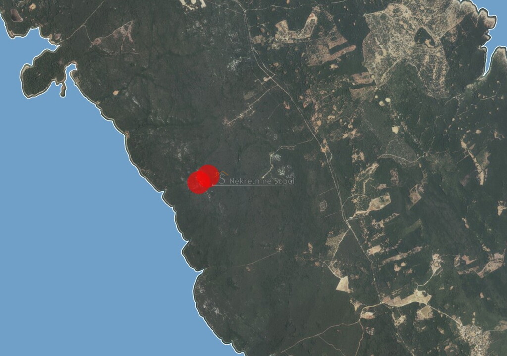 Image 6245068 - 1