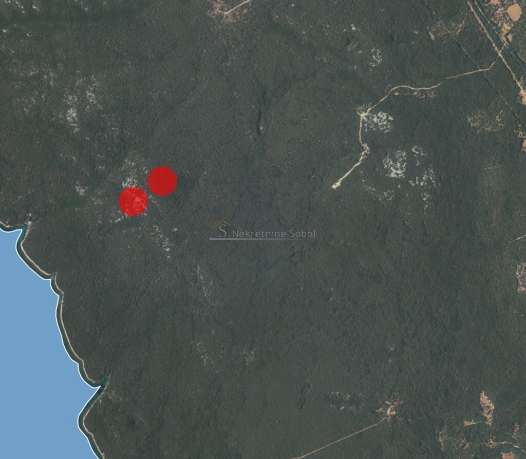 Image 6245068 - 2