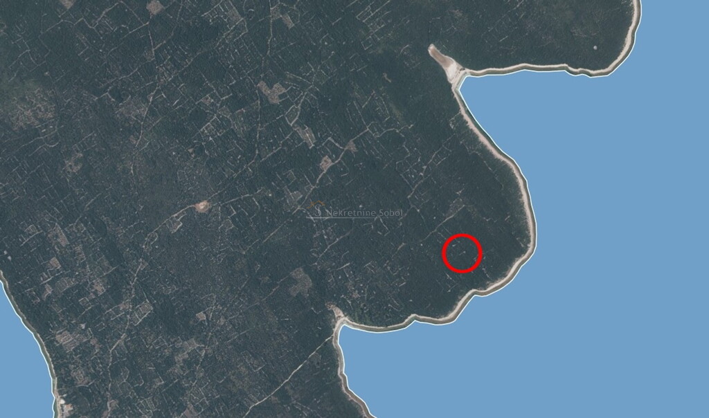 Image 6245071 - 1