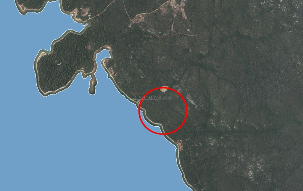 Image 6245073 - 1