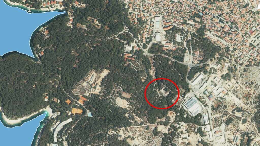 Image 6245074 - 1