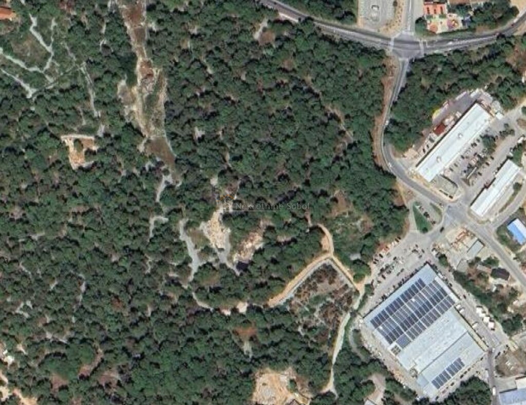 Image 6245074 - 2