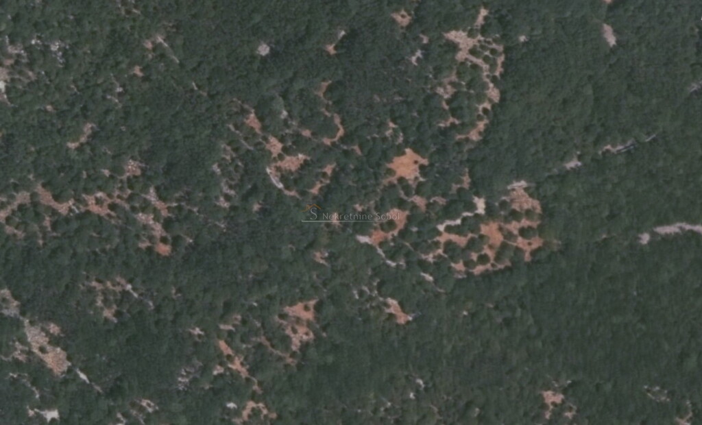 Image 6245075 - 2