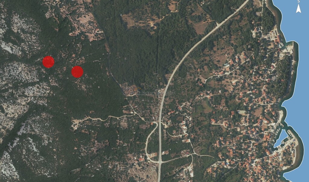 Image 6245075 - 1