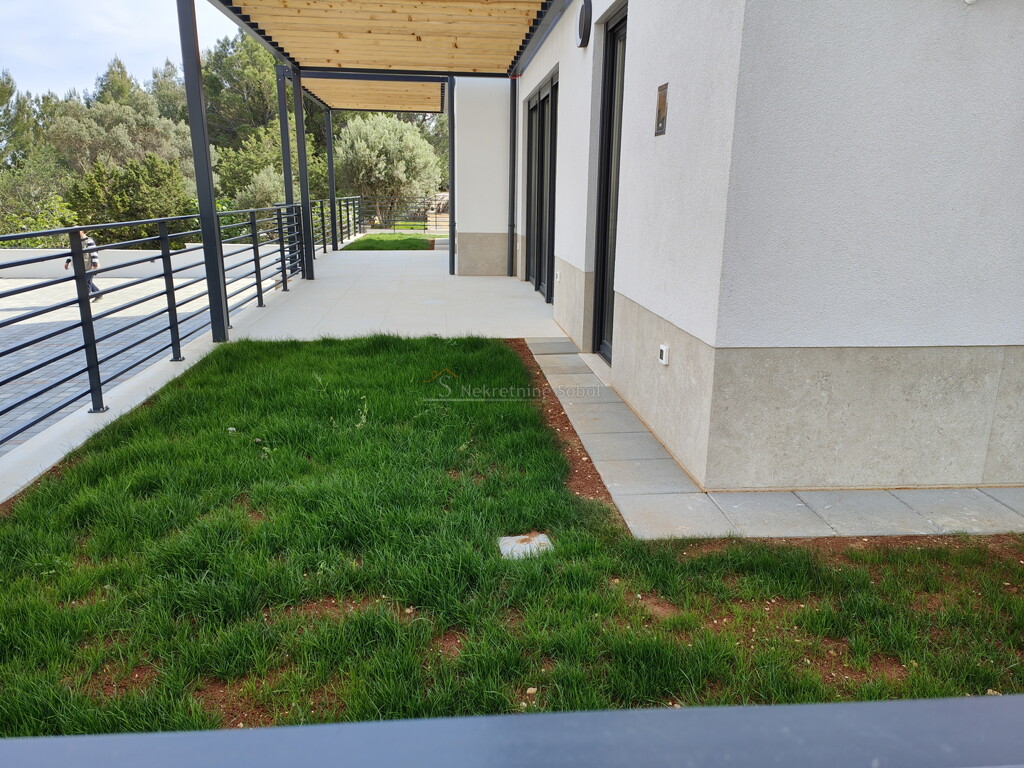 Image 6245077 - 2