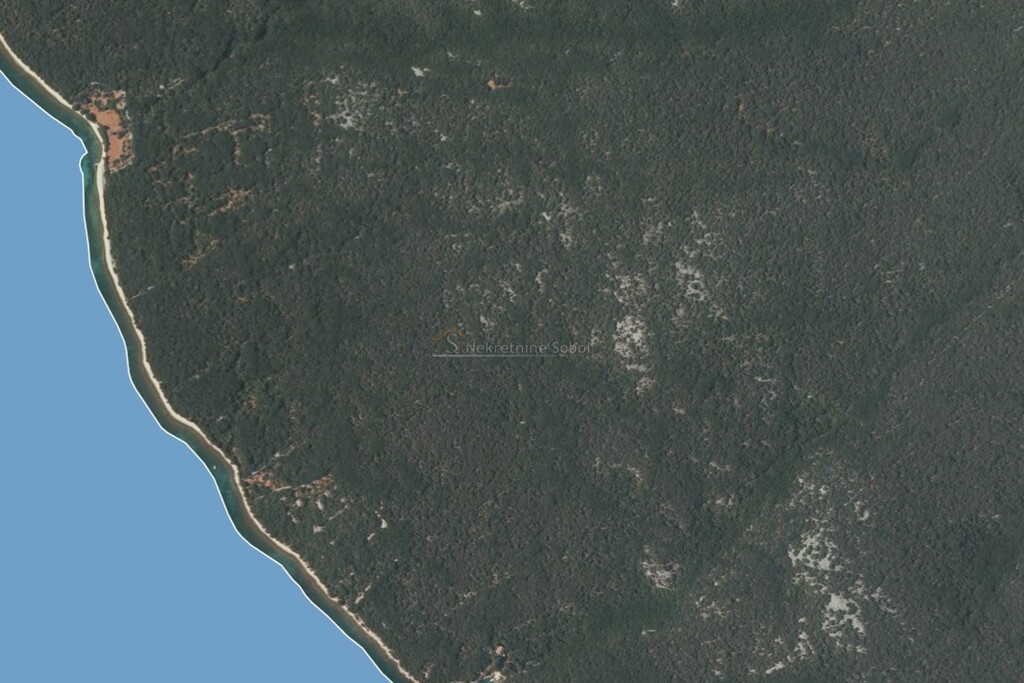 Image 6245078 - 2