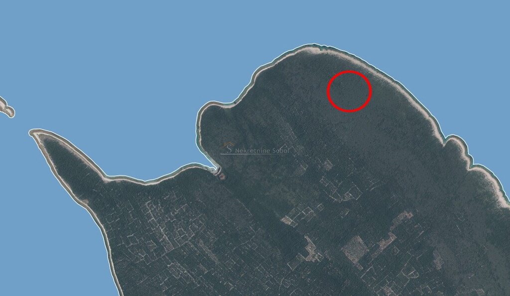 Image 6245081 - 1