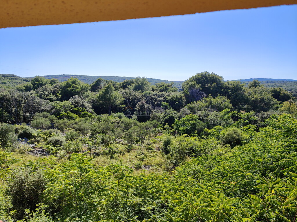 Image 6245084 - 1
