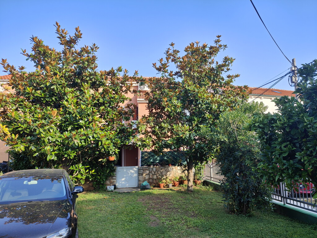 Image 6245090 - 9