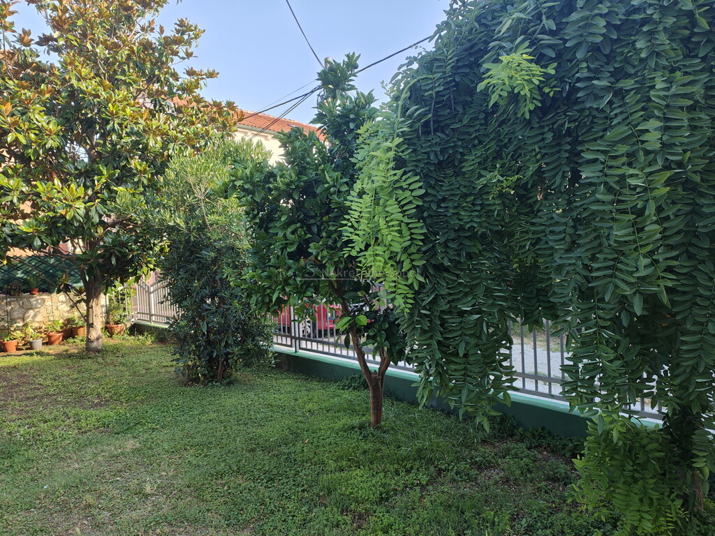 Image 6245090 - 8
