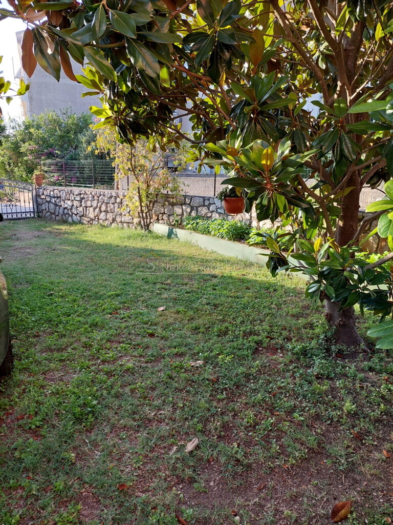 Image 6245090 - 6