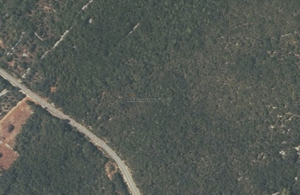Image 6245092 - 2