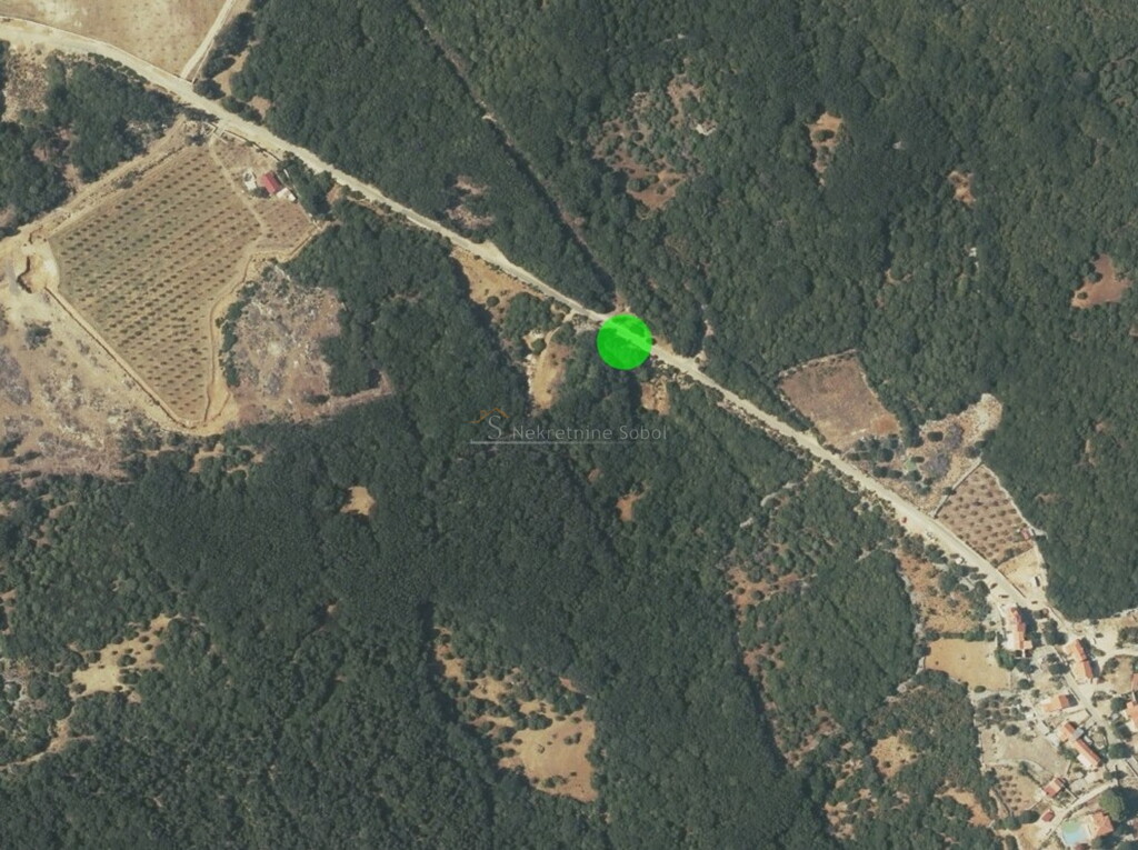 Image 6245093 - 2