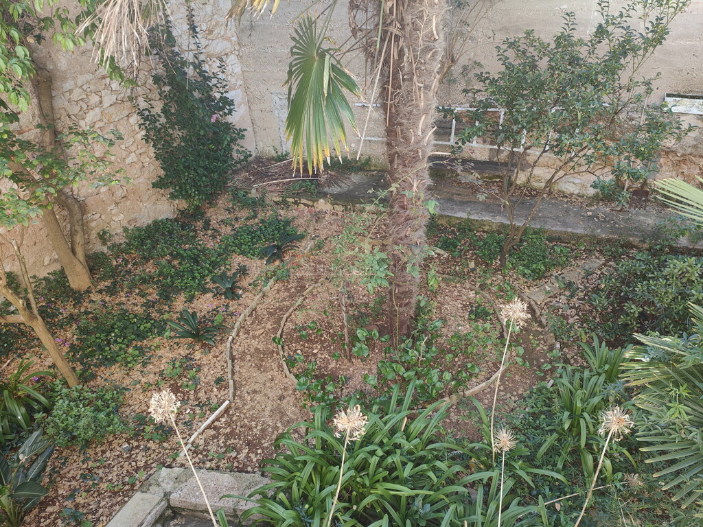 Image 6245094 - 9