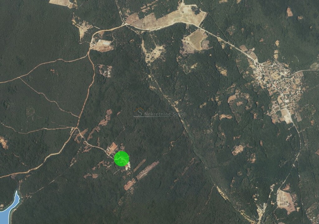 Image 6245096 - 1