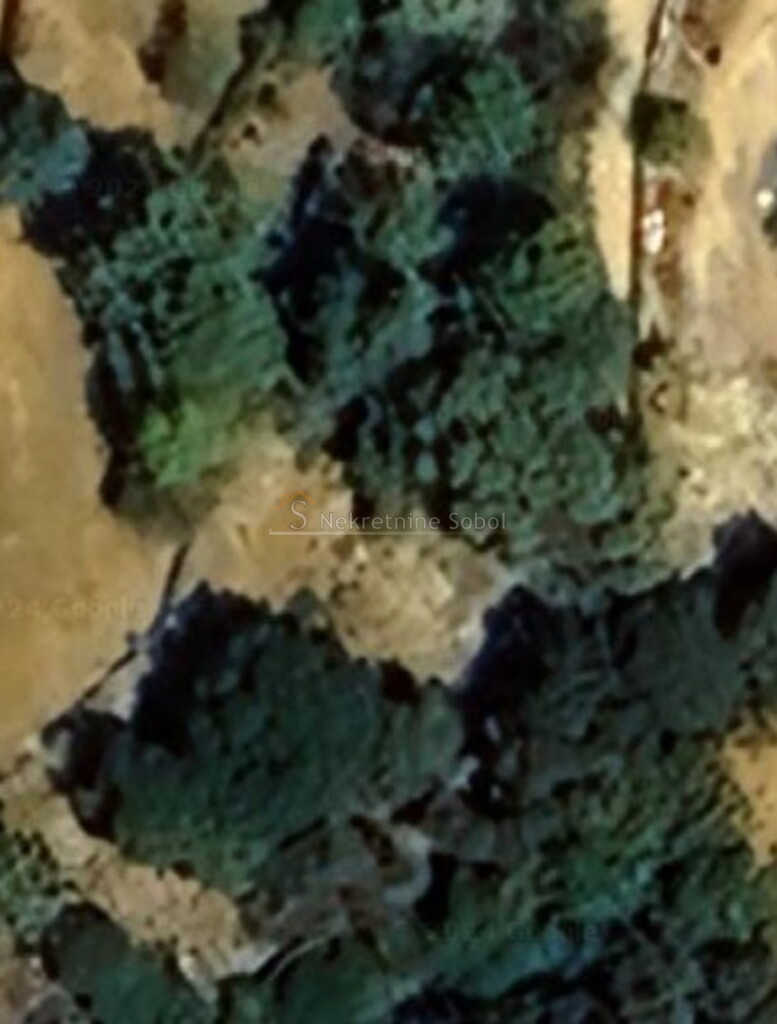 Image 6245101 - 1