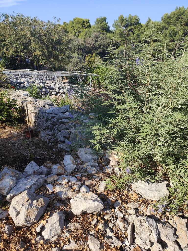 Image 6245104 - 4
