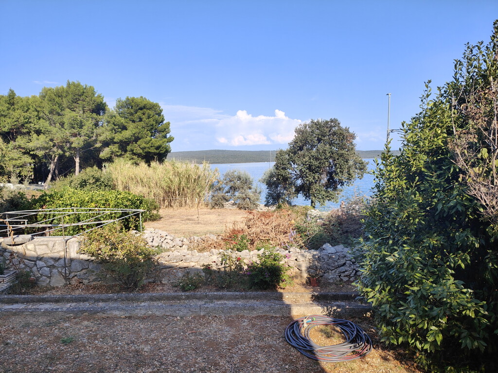 Image 6245104 - 1