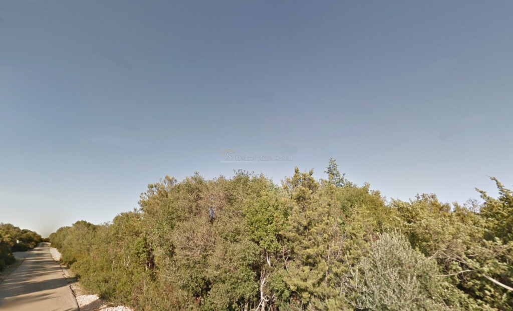 Image 6245105 - 2