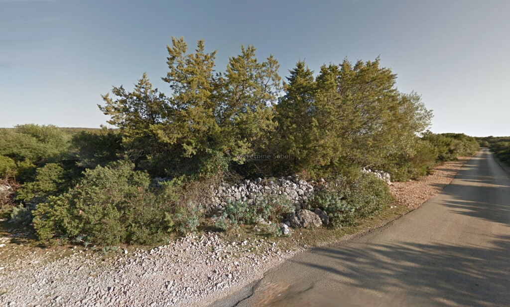 Image 6245105 - 1