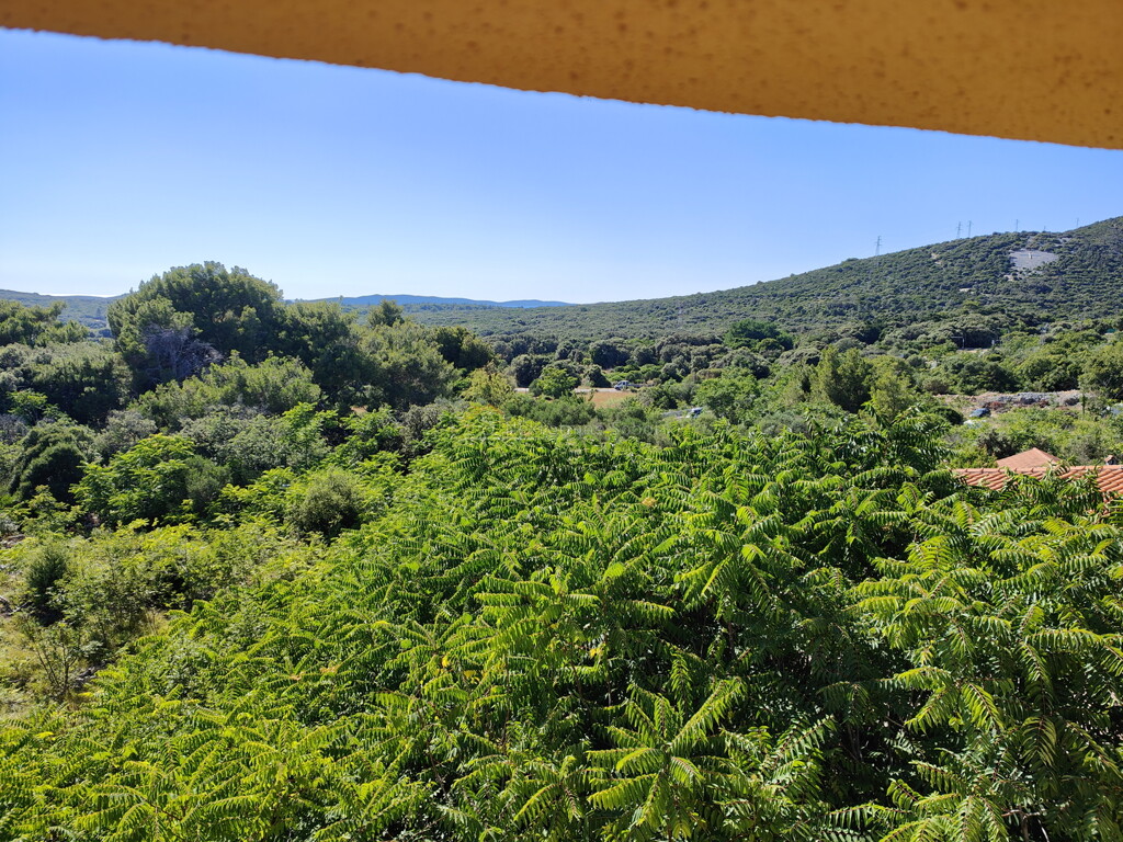 Image 6245106 - 8