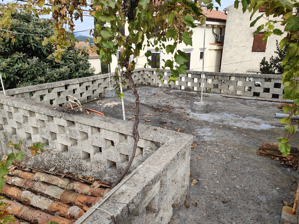 Image 6245110 - 6