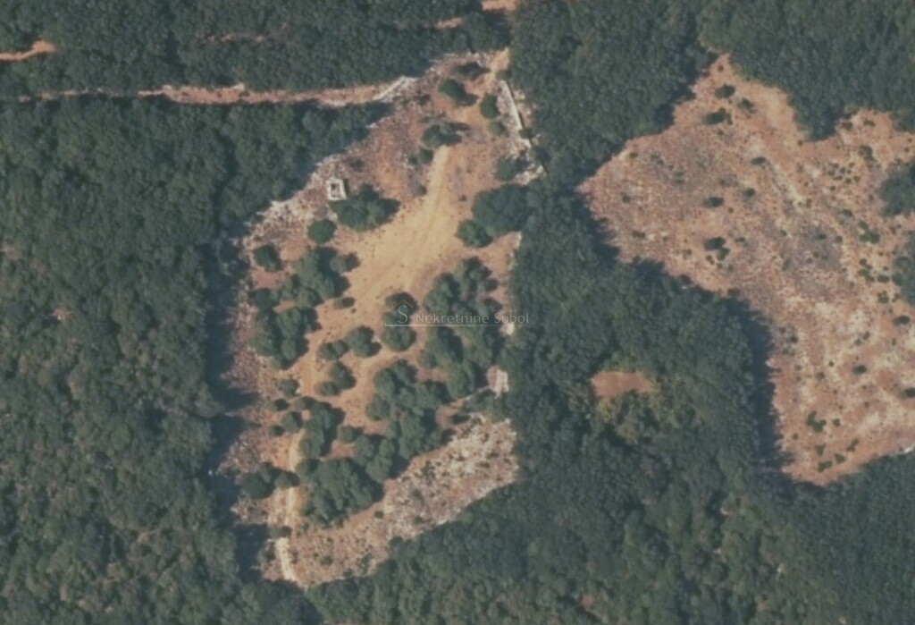 Image 6245114 - 2