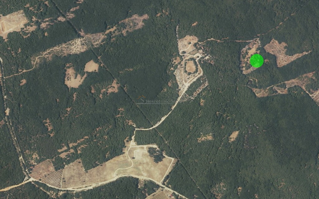 Image 6245114 - 1