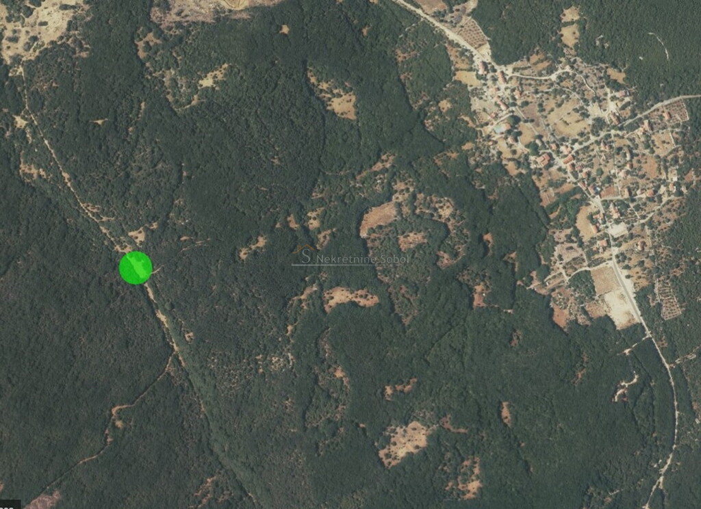 Image 6245115 - 1