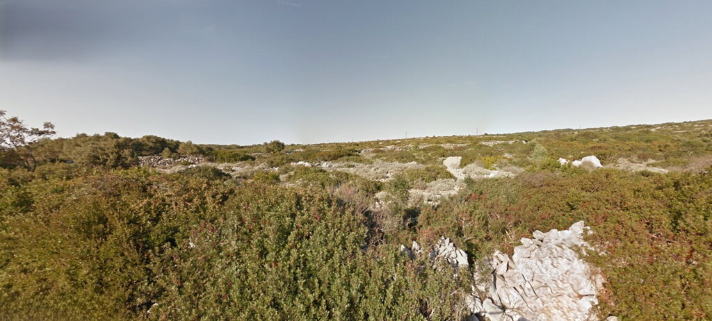 Image 6245116 - 1
