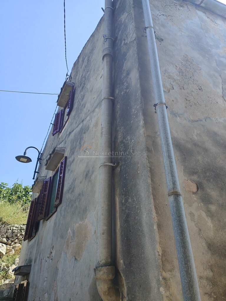 Image 6245118 - 2